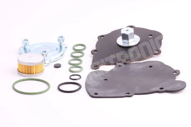 Ремкомплект редуктора TOMASETTO NORDIC XP