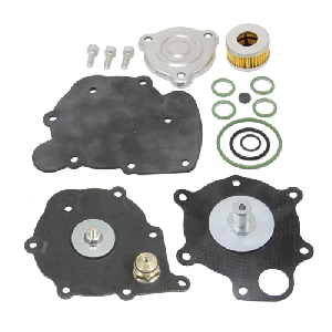 Ремкомплект редуктора TOMASETTO NORDIC XP Avs