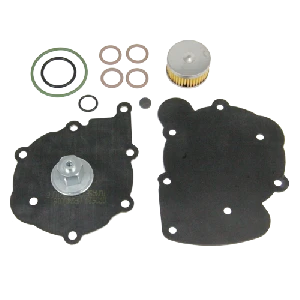 Ремкомплект редуктора TOMASETTO NORDIC v.24 без крышки фильтра